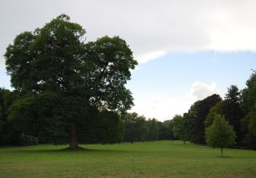 Randonnée A pied Orlík nad Vltavou - Okružní trasa - park - Photo