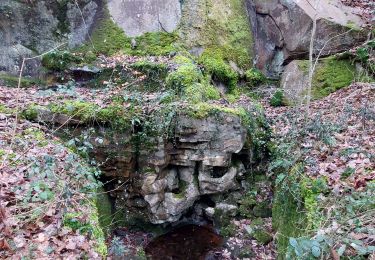 Trail Walking Fontainebleau - Belle Croix  - Photo