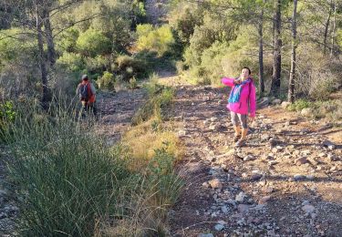 Tocht Stappen Roquebrune-sur-Argens - z Malvoisin 07-11-23 - Photo