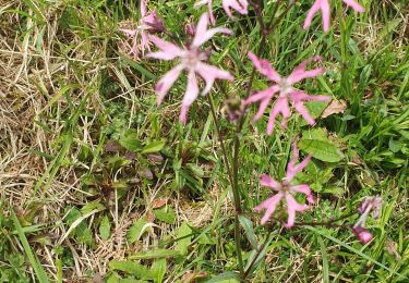 Trail Walking Ayherre - Ayherre 2 mars - Photo