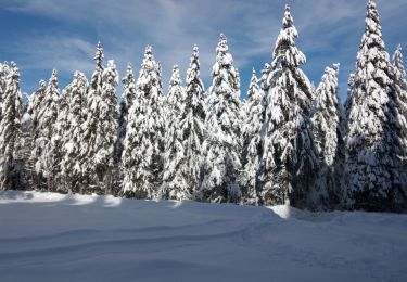 Tour Schneeschuhwandern Haut Valromey - raquettes chapelle5km6 - Photo