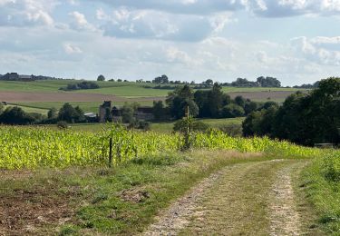Trail Walking Assesse - Sart Bernard 22,6 km - Photo