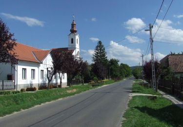 Trail On foot Szólád - P3 (Szólád - DDP) - Photo