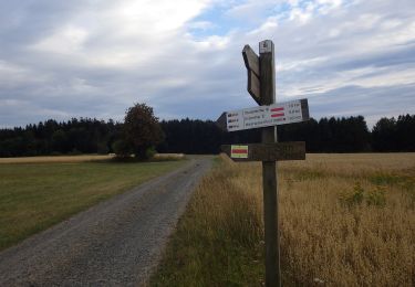 Tour Zu Fuß Stadlern - Bayern-Böhmen-Runde 1 - Photo