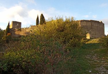 Excursión Senderismo Rochefort-en-Valdaine - château Rochefort en Valdene et ruisseau de citelle  - Photo