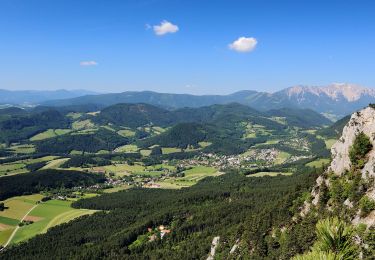 Excursión A pie Gemeinde Höflein an der Hohen Wand - Leitergraben - Photo