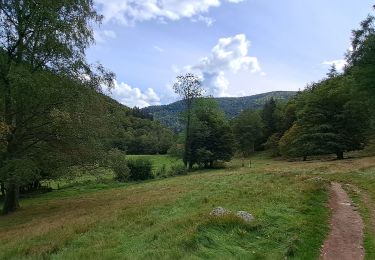 Randonnée Marche Mittlach - VOSGES 2023 - MITTLACH - Vallée de la Wormsa - Photo