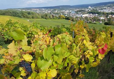 Trail Walking Château-Thierry - Château Thierry Rando France Bleu - Photo
