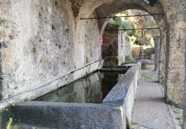 Randonnée Marche Toudon - FFR - la Cime des Colettes  - Photo