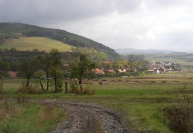 Trail On foot Hředle - NS Údolí ticha - Photo