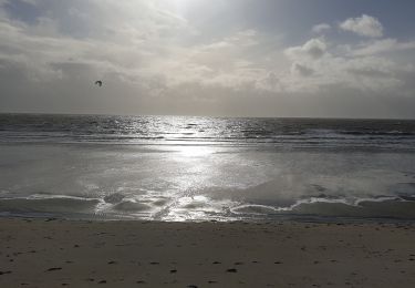 Tour Wandern Le Tour-du-Parc - bord de mer Penvis - Photo