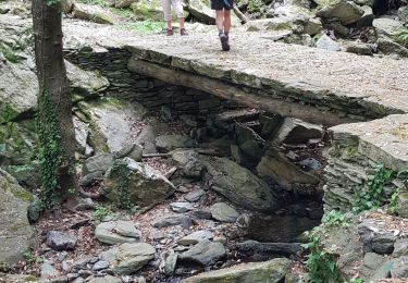 Excursión Senderismo Luri - Cap Corse - Tour de Sénèque  - Photo