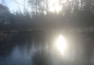 Tocht Stappen Fontainebleau - carrefour de l'epine 26 janvier 2021  - Photo