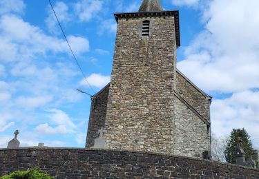 Trail Walking La Roche-en-Ardenne - Samree 190324 - Photo