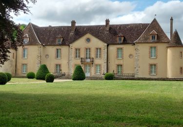 Trail Walking Nailly - Nailly 230625 - Photo