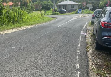 Randonnée Vélo de route Sainte-Anne - Grand fonds  - Photo