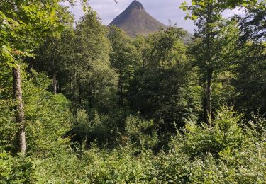 Randonnée Marche Mandailles-Saint-Julien - Col du perthus puy Griou - Photo