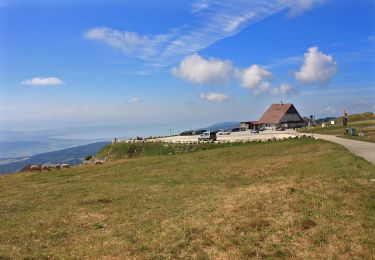 Tocht Te voet Nods - Chasseral Hôtel - Le Pâquier - Photo