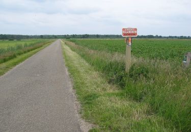 Tour Zu Fuß Raalte - WNW Salland - Luttenberg - oranje route - Photo