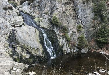 Tocht Stappen Waimes - Wandeling Peak Beer brune (new) - Photo