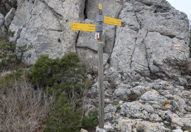Trail Walking Le Barroux - LES CRETES D ARFUYEN - Photo