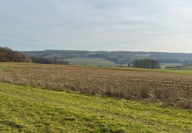 Tour Zu Fuß Gesves - Faulx-Goyet-Mozet entre Tiges et Chavées - Photo