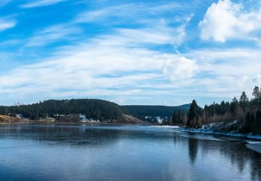 Tocht Te voet Harz (LK Goslar) - Eckertalsperren-Rundweg - Photo