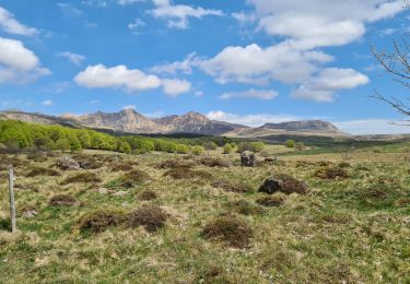 Tour Wandern Chastreix - Chastreix - Photo