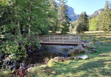 Tour Wandern Mijanès - Lacs de Mijanès par Lac de Balbonne - Photo
