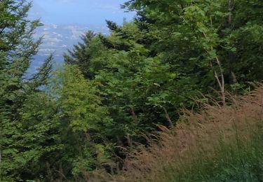 Excursión Senderismo Entremont-le-Vieux - tour du Mont outheran , avec la pointe de la couchette - Photo