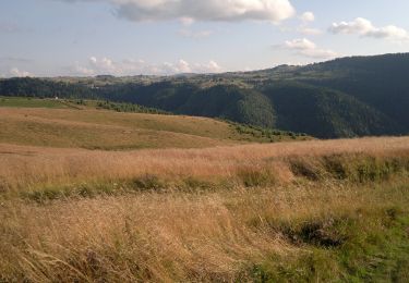 Randonnée A pied  - rasca trail - Photo