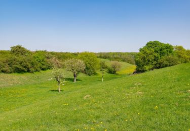 Tour Zu Fuß Bad Lippspringe - Z (Bad Lippspringe) - Photo