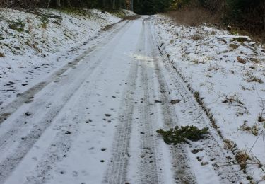 Percorso Marcia Chadenet - col de la loubiere - Photo