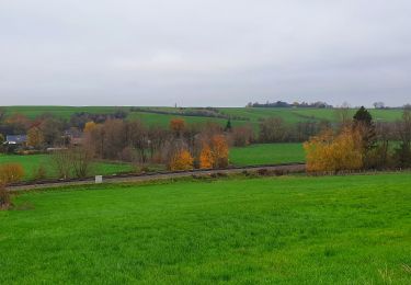 Randonnée Marche Ham-sur-Heure-Nalinnes - Balade à Cours-sur-Heure - Photo