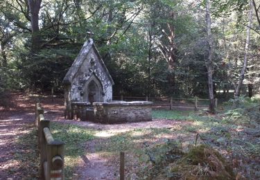 Tour Wandern Saint-Aignan - St-Aignan ( michel ) - Photo