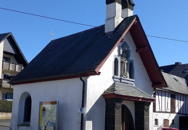 Randonnée A pied Alflen - Wilde Endert, Zuweg Alflen - Photo