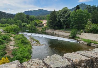 Trail Walking Saint-Étienne-Vallée-Française - Stevenson Pont de Burgen - Saint Jean du Gard - Photo