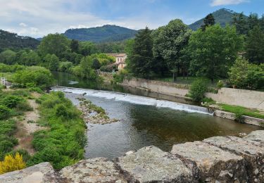 Tour Wandern Saint-Étienne-Vallée-Française - Stevenson Pont de Burgen - Saint Jean du Gard - Photo