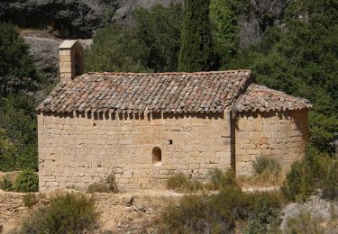 Excursión A pie Ulldemolins - L'ànima de Montsant - Photo