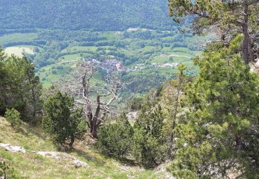 Randonnée Marche Aillon-le-Jeune - 260523 Boucle Colombier d'Aillon - Photo