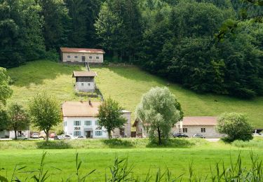 Randonnée A pied Grassau - SalzAlpenTour - Über die Grassauer Almen - Photo