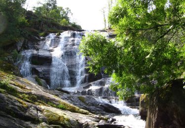 Tocht Te voet Valdastillas - [SL-CC 32] Cascada del Caozo - Photo