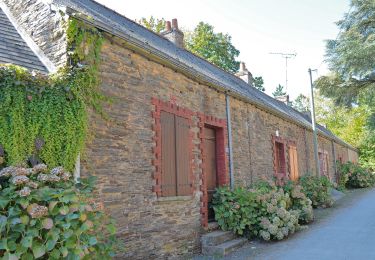 Tocht Te voet Grand-Auverné - La Lande du Don - Photo