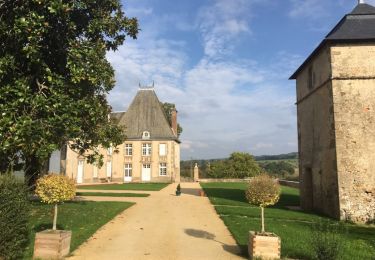 Trail On foot Vimartin-sur-Orthe - Circuit de Saint-Pierre-sur-Orthe - Photo