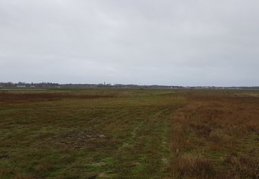 Randonnée Marche Étaples - la canches camier - Photo
