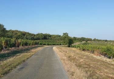 Trail Bicycle tourism Mauroux - Mauroux, Puy l'évêque - Photo