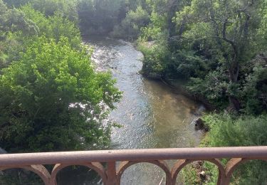 Tour Wandern Les Arcs-sur-Argens - Les Arcs Menhirs et Dolmen - Photo