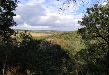 Trail Walking Quimper - stankou - Photo