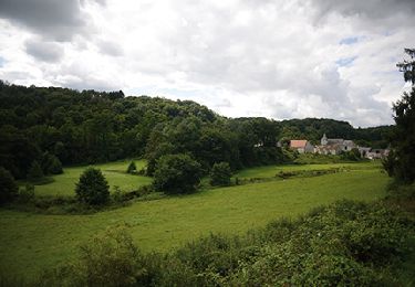 Excursión Senderismo Anhée - Sosoye - Circuit Natura 2000, des sites qui valent le détour - Na11 - Photo