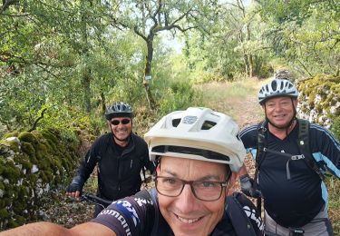 Tocht Mountainbike Lentillac-du-Causse - Màrcillàv sur sele - Photo